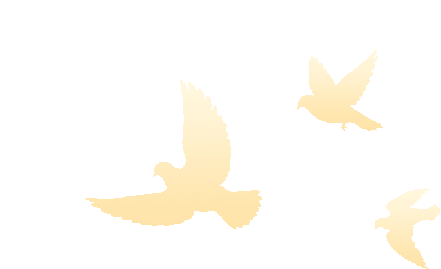 BC贷(中国游)官方网站